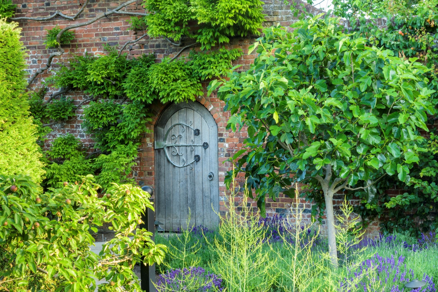 The Manor House, Ayot St Lawrence, Welwyn, Hertfordshire, AL6 9BP